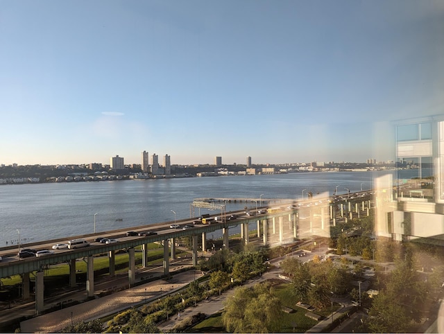 view of water feature with a city view