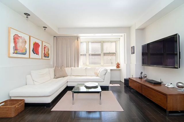 living room featuring dark hardwood / wood-style floors