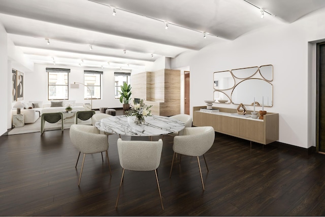 dining space with dark wood-style floors and track lighting