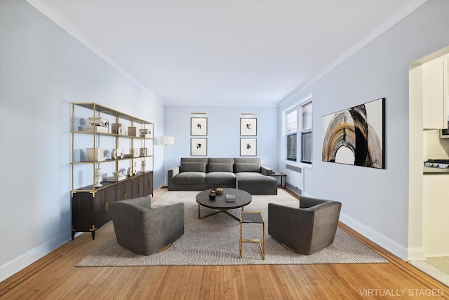 living room featuring radiator and light hardwood / wood-style flooring