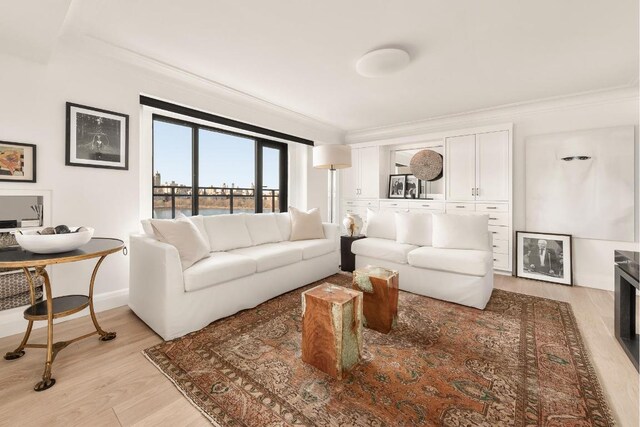 living room with light hardwood / wood-style flooring and track lighting