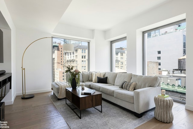 living room with baseboards, a city view, and hardwood / wood-style floors