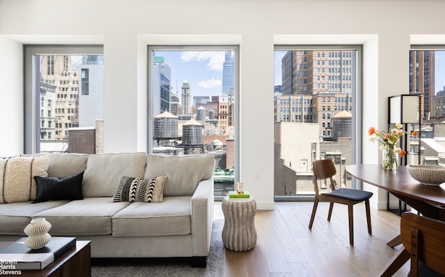 living area featuring a wealth of natural light, wood finished floors, and a view of city