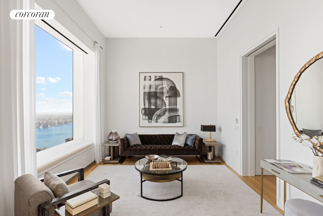 living room with a water view and light hardwood / wood-style flooring