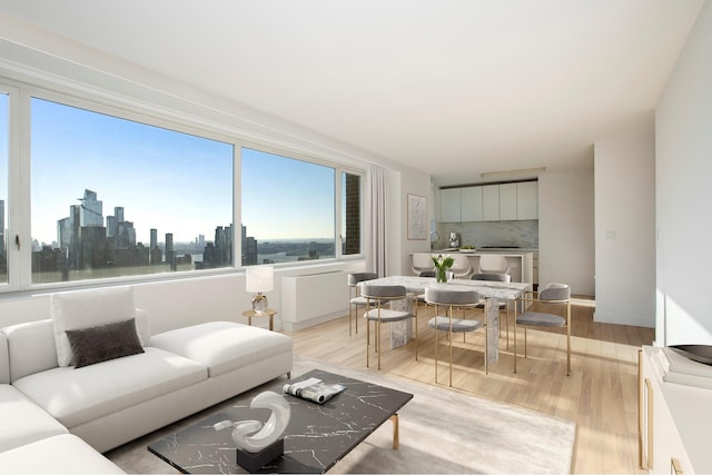 living room featuring a view of city and light wood-style flooring