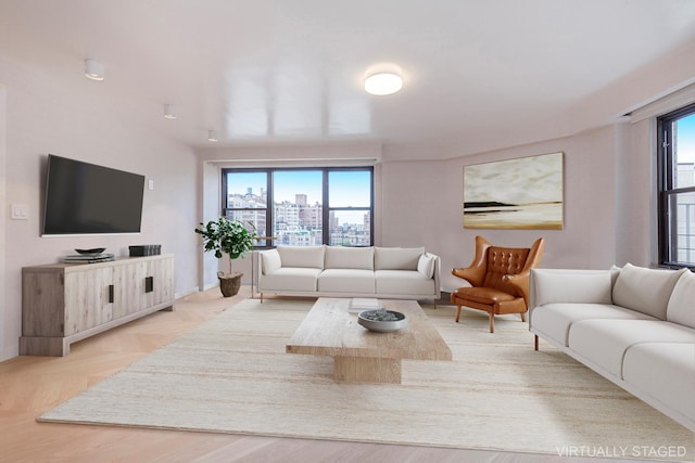 living area featuring baseboards and a wealth of natural light