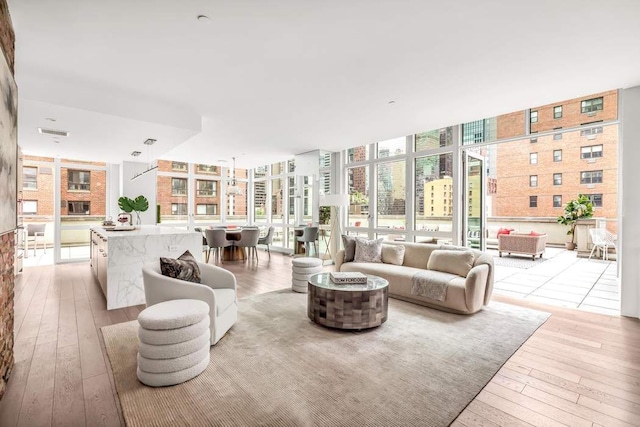 living room with floor to ceiling windows, light hardwood / wood-style floors, and a wealth of natural light