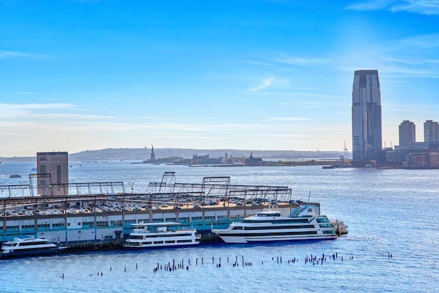 property view of water featuring a city view