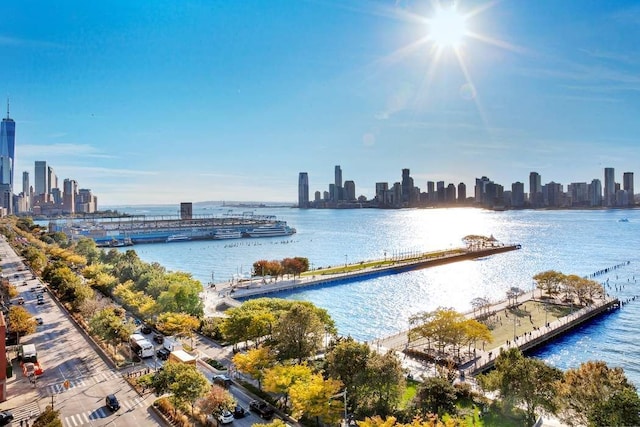 property view of water featuring a city view