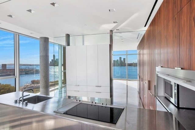 kitchen with plenty of natural light, a wall of windows, modern cabinets, and a sink