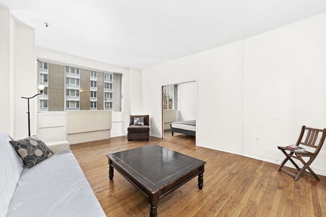 living room with hardwood / wood-style floors