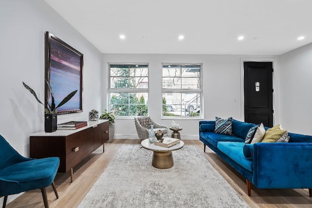 living room featuring light hardwood / wood-style flooring