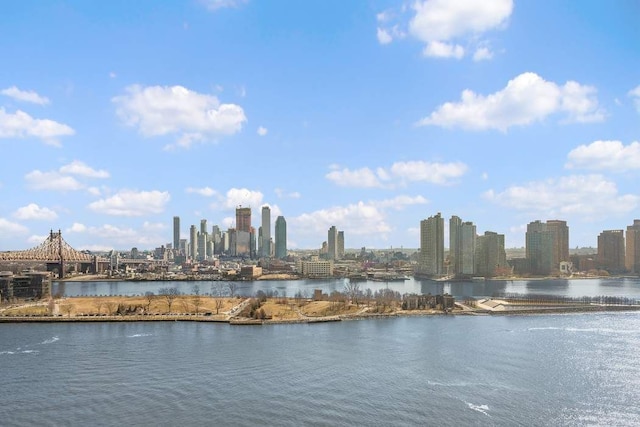 435 E 52nd St Unit 14G, New York City, NY 10022 - water view featuring a skyline view