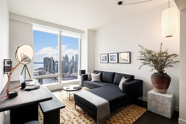 living room featuring a healthy amount of sunlight, a city view, and wood finished floors