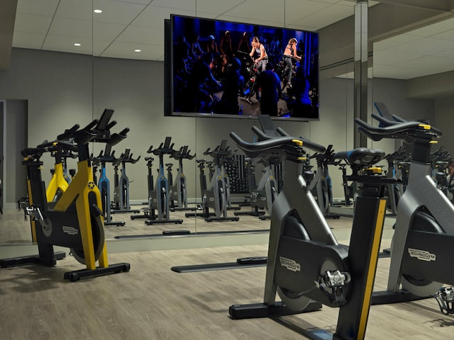 workout area with a drop ceiling and wood finished floors