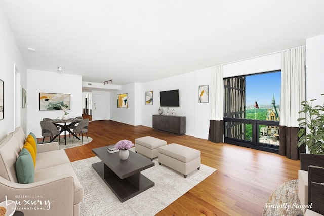 living room featuring light hardwood / wood-style floors