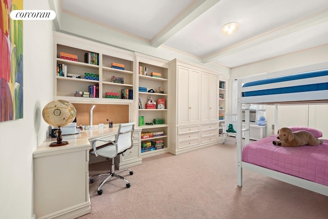 corridor with ornamental molding and a tray ceiling