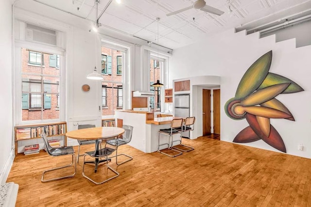 dining room with ceiling fan and light hardwood / wood-style floors