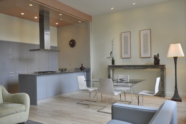 interior space featuring light hardwood / wood-style floors and sink