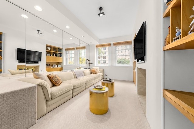 living room with light colored carpet and built in features