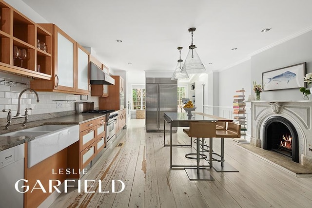 kitchen featuring sink, crown molding, hanging light fixtures, light wood-type flooring, and premium appliances