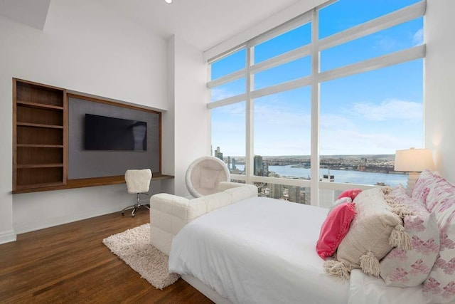 bedroom featuring multiple windows and dark wood-type flooring