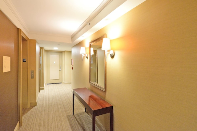 corridor featuring light carpet and ornamental molding