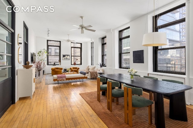 dining space featuring ceiling fan, plenty of natural light, and light wood-type flooring