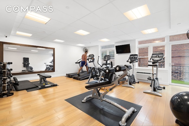 gym featuring a paneled ceiling and wood finished floors