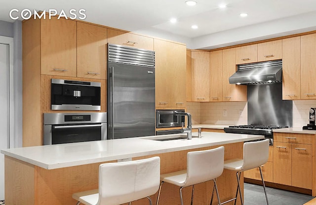kitchen with a sink, built in appliances, light countertops, tasteful backsplash, and under cabinet range hood