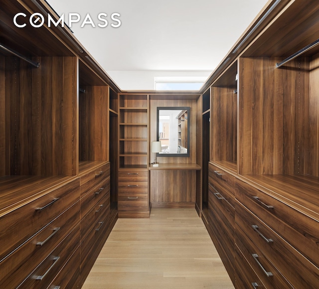 spacious closet featuring light wood finished floors