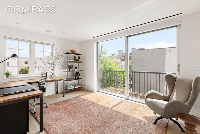 home office featuring light wood-type flooring and a healthy amount of sunlight