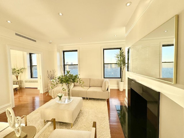 living room with radiator heating unit and hardwood / wood-style flooring