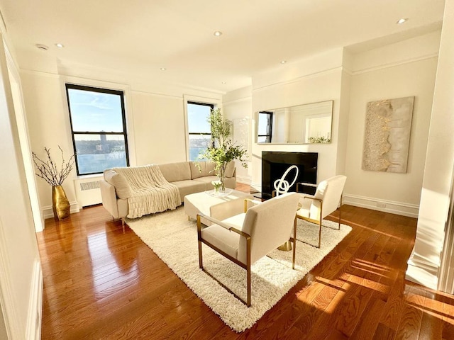 living room with dark wood-type flooring and radiator heating unit