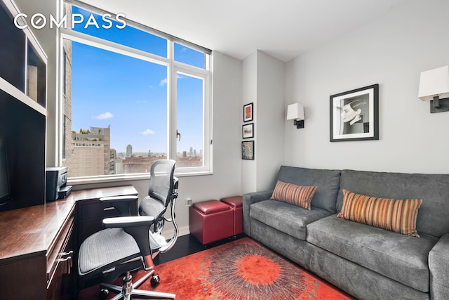 office space featuring wood finished floors and a city view