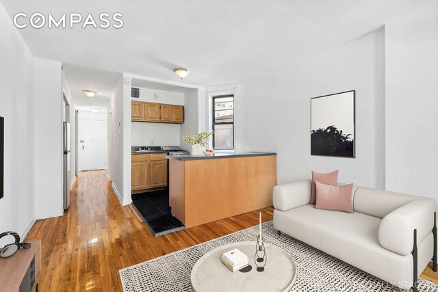 living room featuring dark hardwood / wood-style floors and sink