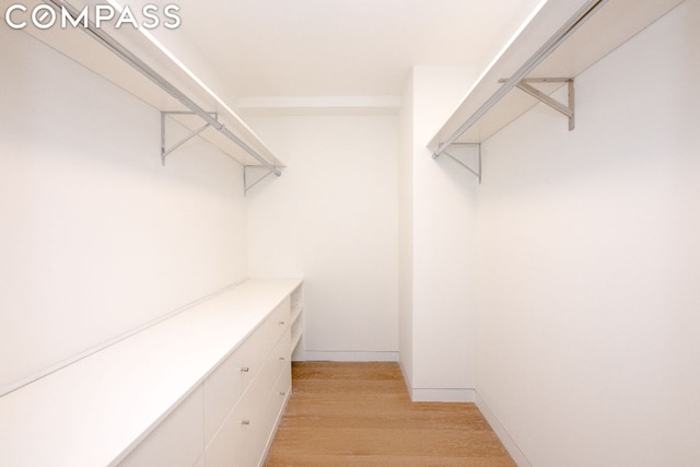 walk in closet with light hardwood / wood-style floors