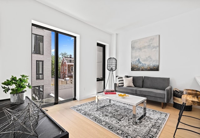 30-05 Vernon Blvd Unit 5-E, New York City, NY 11102 - living room with light wood finished floors