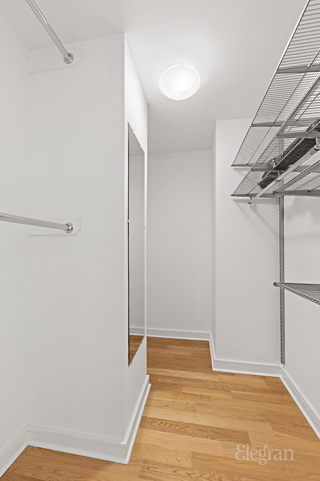 spacious closet with light wood finished floors