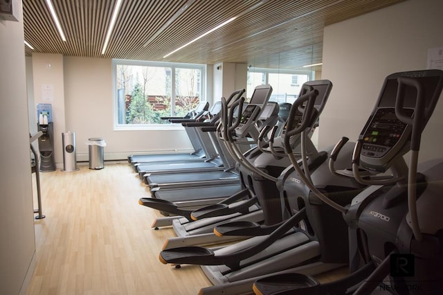 workout area featuring wood finished floors