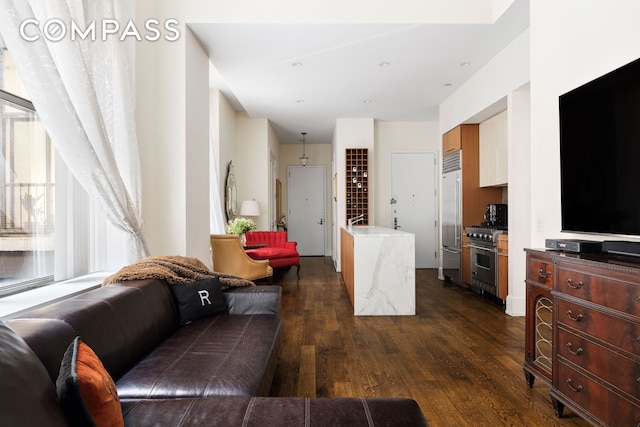 living area featuring dark wood-style flooring