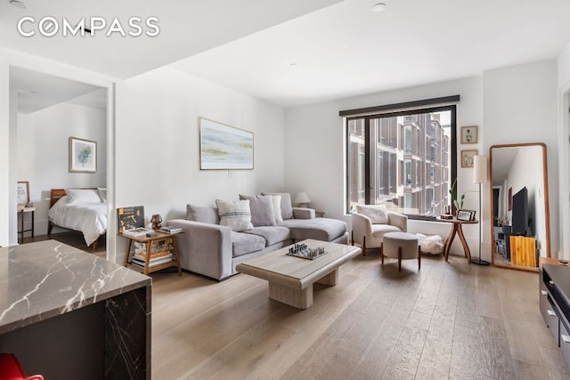 living room with light hardwood / wood-style floors