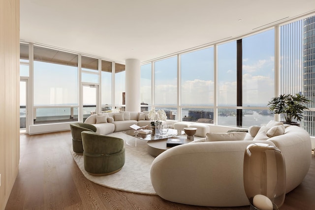 living room with a wall of windows and wood finished floors