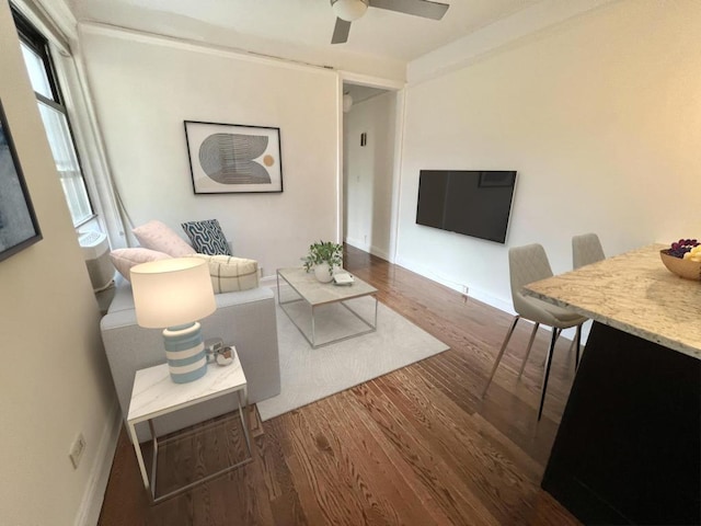 living room featuring ceiling fan and dark hardwood / wood-style floors