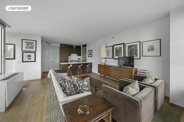 living room with light hardwood / wood-style flooring