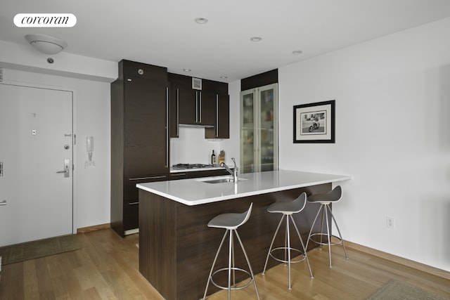 kitchen featuring light wood-type flooring, dark brown cabinets, sink, and a kitchen bar