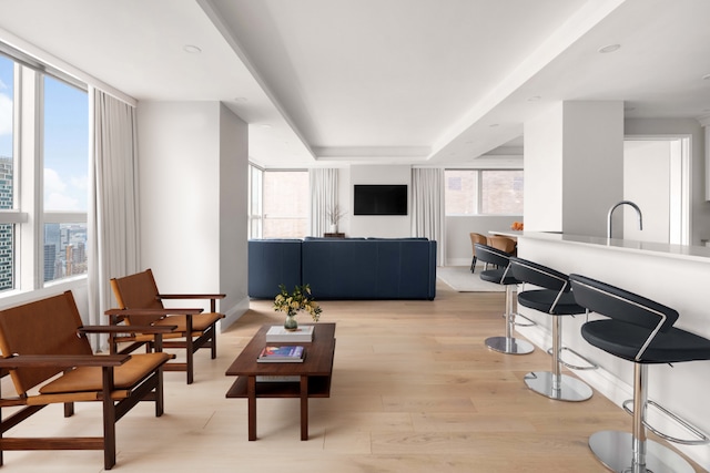 living room featuring sink, light hardwood / wood-style floors, and a tray ceiling