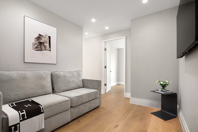 living room with light wood-type flooring