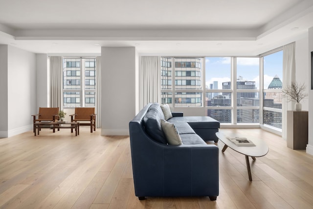 living room with light hardwood / wood-style floors and a raised ceiling