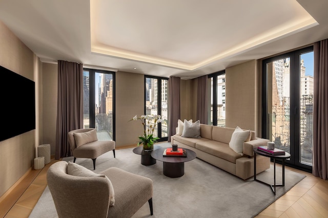 living area with a tray ceiling